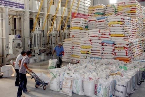 Dự báo xuất khẩu gạo năm 2021 vẫn duy trì tín hiệu lạc quan