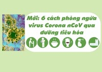 6 cách phòng ngừa virus Corona nCoV qua đường tiêu hóa