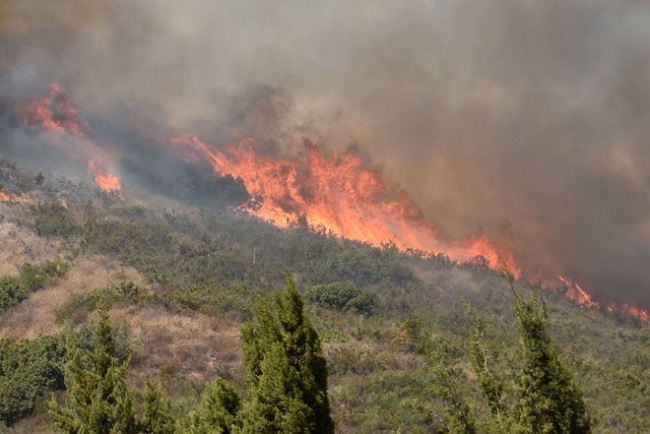 California sử dụng trí tuệ nhân tạo để phát hiện cháy rừng